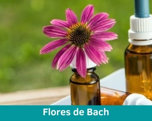 Flores de Bach Psicoespai